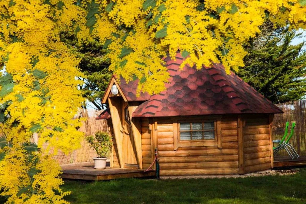 Kota Finlandais Image 4